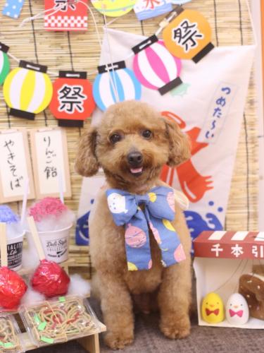 20240728チョコちゃん